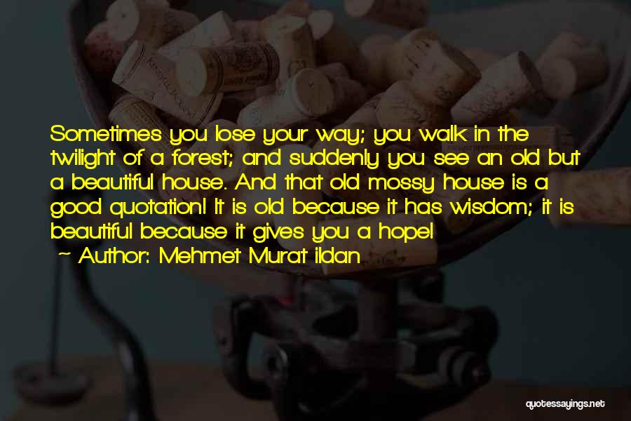 Mehmet Murat Ildan Quotes: Sometimes You Lose Your Way; You Walk In The Twilight Of A Forest; And Suddenly You See An Old But