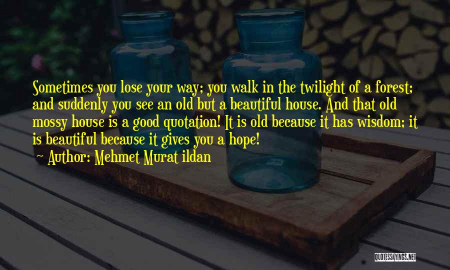 Mehmet Murat Ildan Quotes: Sometimes You Lose Your Way; You Walk In The Twilight Of A Forest; And Suddenly You See An Old But