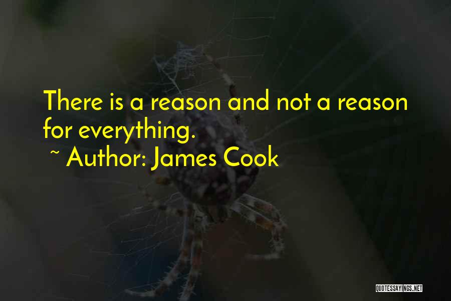 James Cook Quotes: There Is A Reason And Not A Reason For Everything.