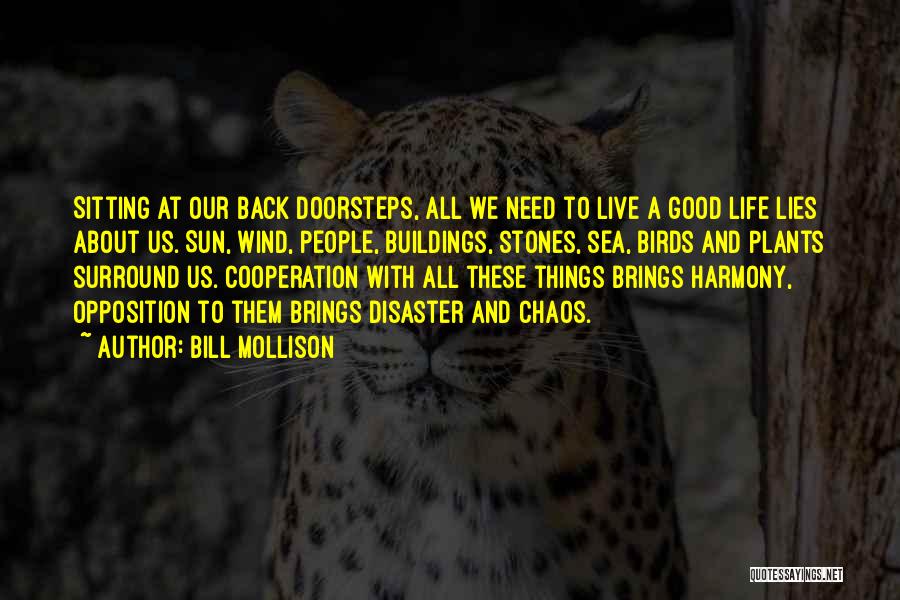 Bill Mollison Quotes: Sitting At Our Back Doorsteps, All We Need To Live A Good Life Lies About Us. Sun, Wind, People, Buildings,