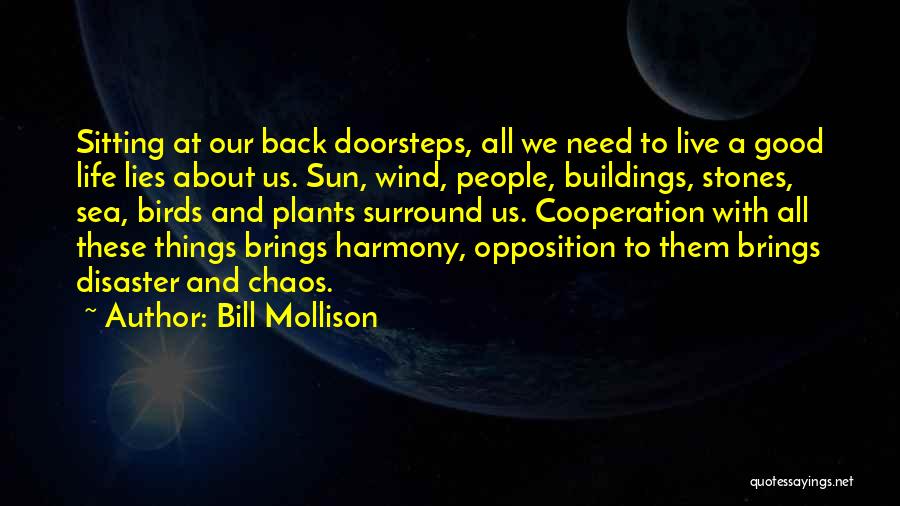 Bill Mollison Quotes: Sitting At Our Back Doorsteps, All We Need To Live A Good Life Lies About Us. Sun, Wind, People, Buildings,