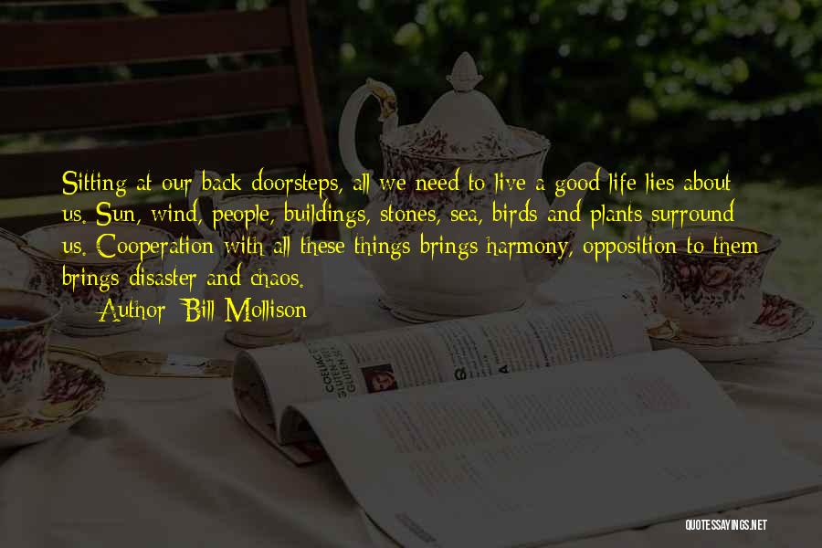 Bill Mollison Quotes: Sitting At Our Back Doorsteps, All We Need To Live A Good Life Lies About Us. Sun, Wind, People, Buildings,