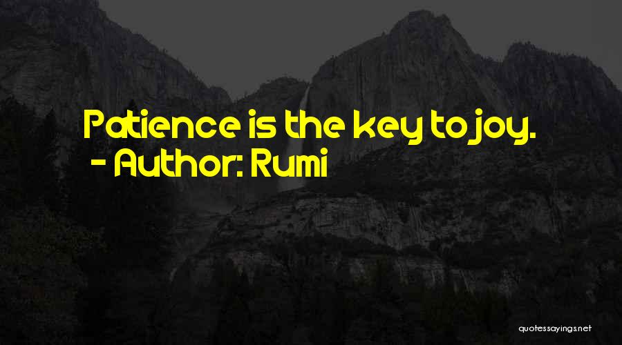 Rumi Quotes: Patience Is The Key To Joy.