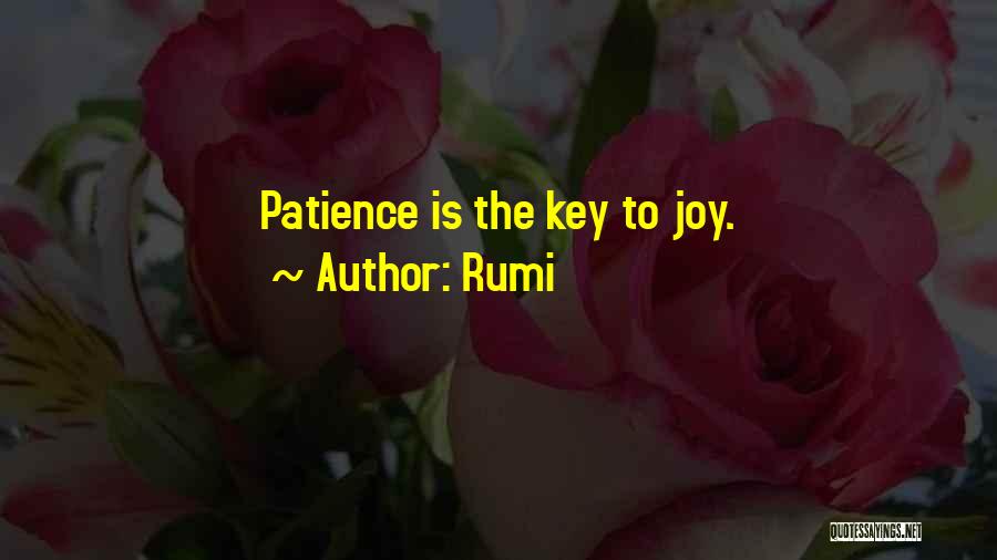 Rumi Quotes: Patience Is The Key To Joy.