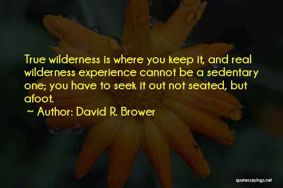 David R. Brower Quotes: True Wilderness Is Where You Keep It, And Real Wilderness Experience Cannot Be A Sedentary One; You Have To Seek