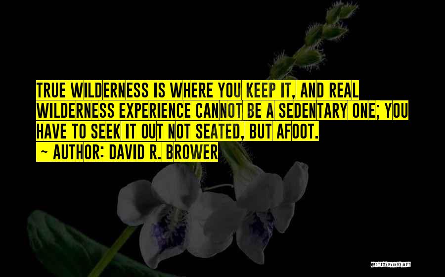 David R. Brower Quotes: True Wilderness Is Where You Keep It, And Real Wilderness Experience Cannot Be A Sedentary One; You Have To Seek