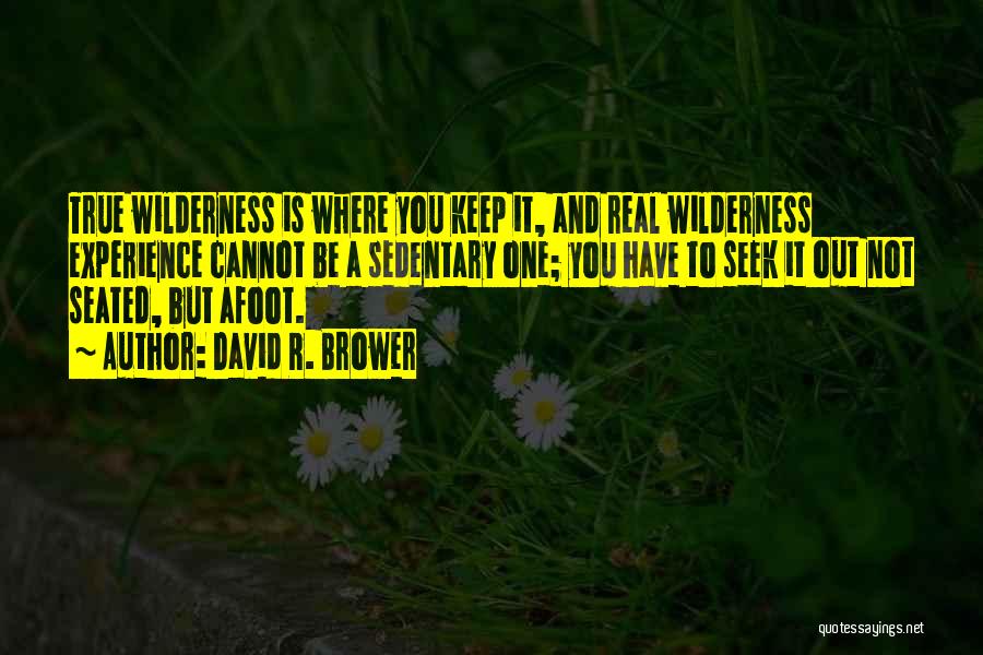David R. Brower Quotes: True Wilderness Is Where You Keep It, And Real Wilderness Experience Cannot Be A Sedentary One; You Have To Seek