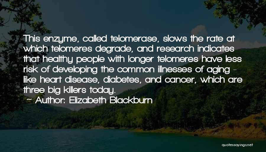 Elizabeth Blackburn Quotes: This Enzyme, Called Telomerase, Slows The Rate At Which Telomeres Degrade, And Research Indicates That Healthy People With Longer Telomeres