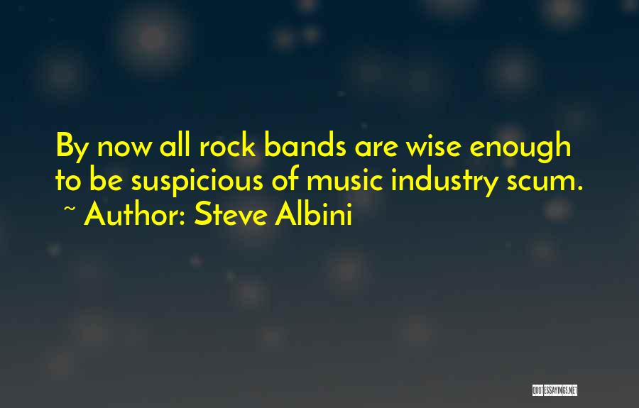 Steve Albini Quotes: By Now All Rock Bands Are Wise Enough To Be Suspicious Of Music Industry Scum.