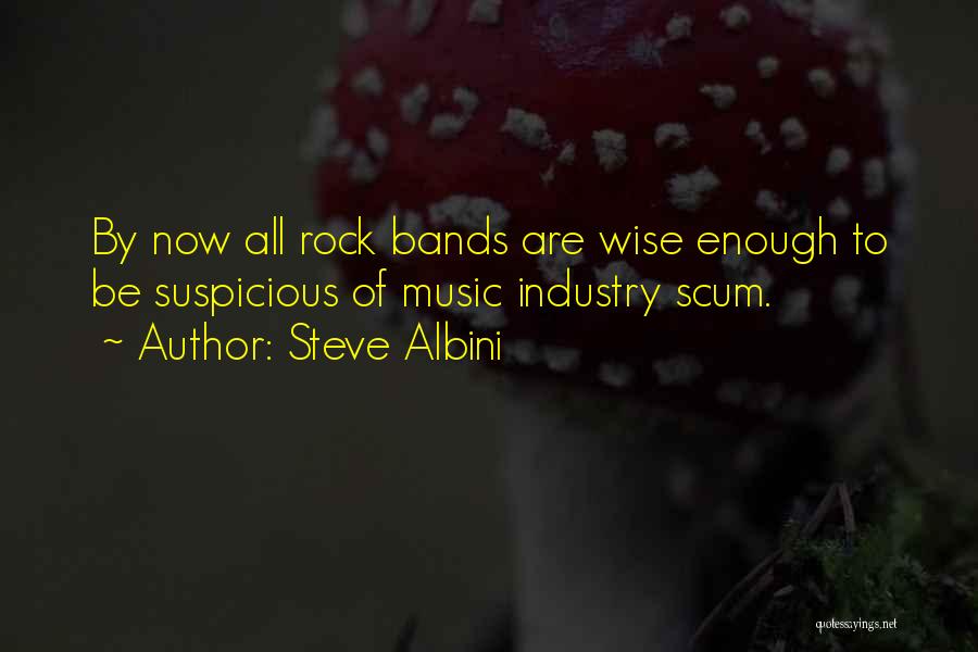 Steve Albini Quotes: By Now All Rock Bands Are Wise Enough To Be Suspicious Of Music Industry Scum.