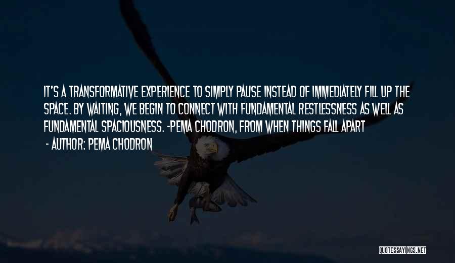 Pema Chodron Quotes: It's A Transformative Experience To Simply Pause Instead Of Immediately Fill Up The Space. By Waiting, We Begin To Connect