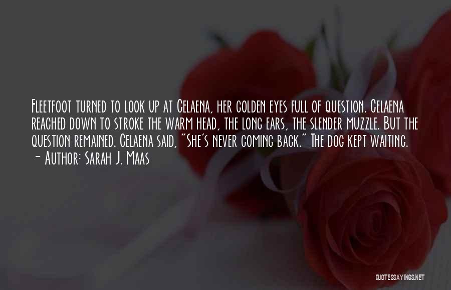 Sarah J. Maas Quotes: Fleetfoot Turned To Look Up At Celaena, Her Golden Eyes Full Of Question. Celaena Reached Down To Stroke The Warm