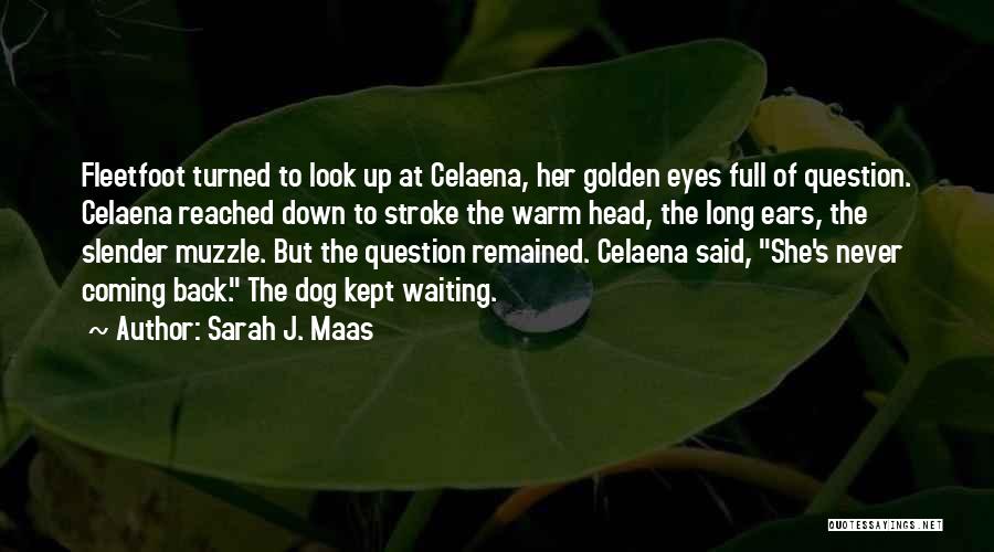 Sarah J. Maas Quotes: Fleetfoot Turned To Look Up At Celaena, Her Golden Eyes Full Of Question. Celaena Reached Down To Stroke The Warm