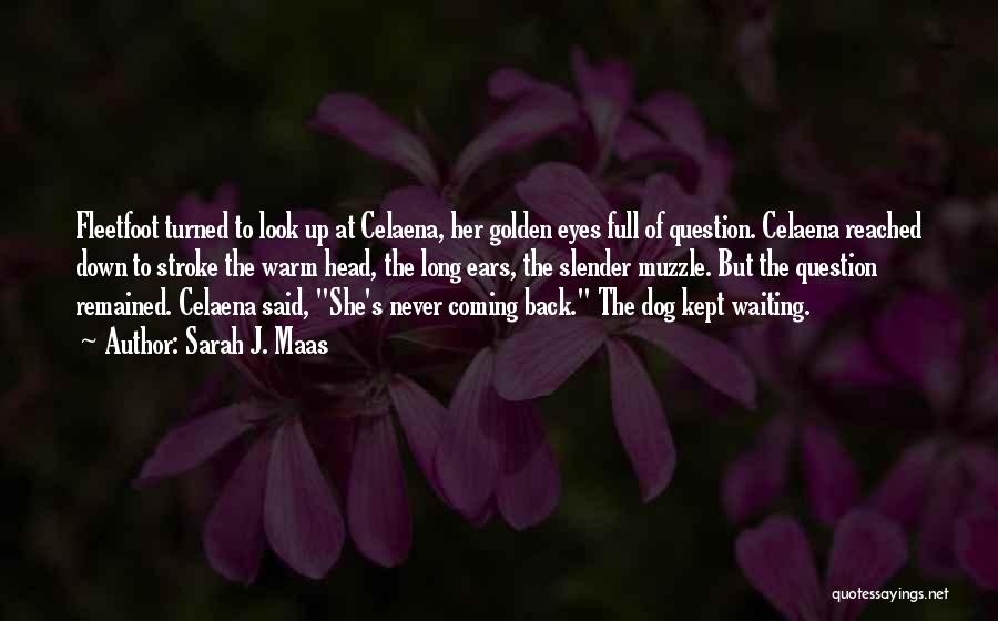 Sarah J. Maas Quotes: Fleetfoot Turned To Look Up At Celaena, Her Golden Eyes Full Of Question. Celaena Reached Down To Stroke The Warm