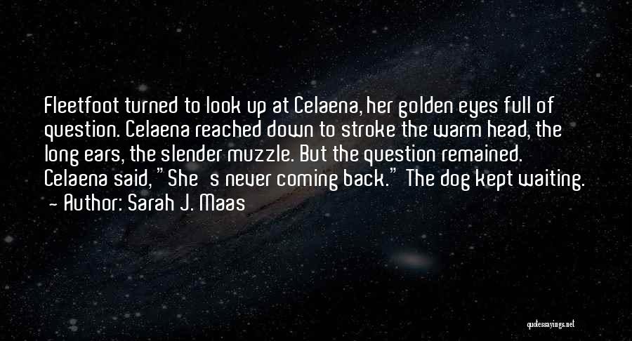 Sarah J. Maas Quotes: Fleetfoot Turned To Look Up At Celaena, Her Golden Eyes Full Of Question. Celaena Reached Down To Stroke The Warm