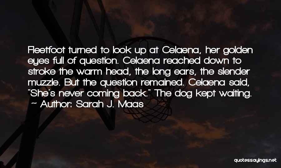 Sarah J. Maas Quotes: Fleetfoot Turned To Look Up At Celaena, Her Golden Eyes Full Of Question. Celaena Reached Down To Stroke The Warm