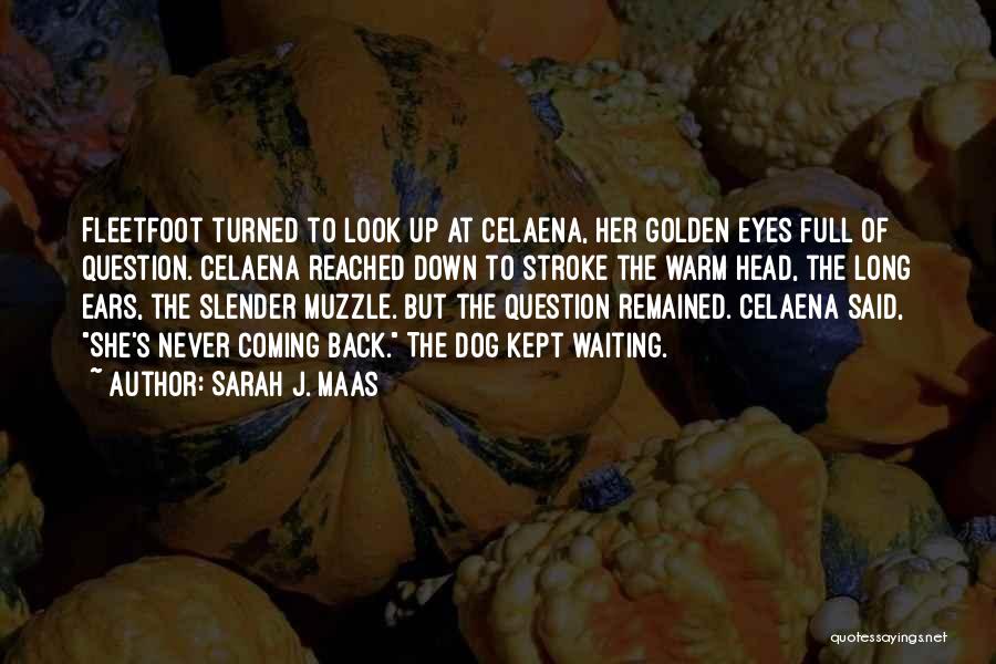 Sarah J. Maas Quotes: Fleetfoot Turned To Look Up At Celaena, Her Golden Eyes Full Of Question. Celaena Reached Down To Stroke The Warm