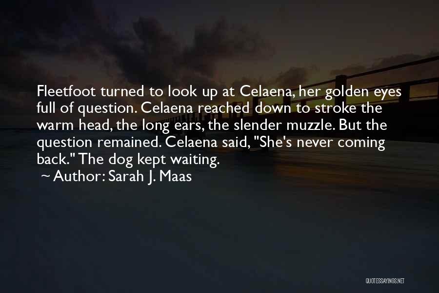 Sarah J. Maas Quotes: Fleetfoot Turned To Look Up At Celaena, Her Golden Eyes Full Of Question. Celaena Reached Down To Stroke The Warm