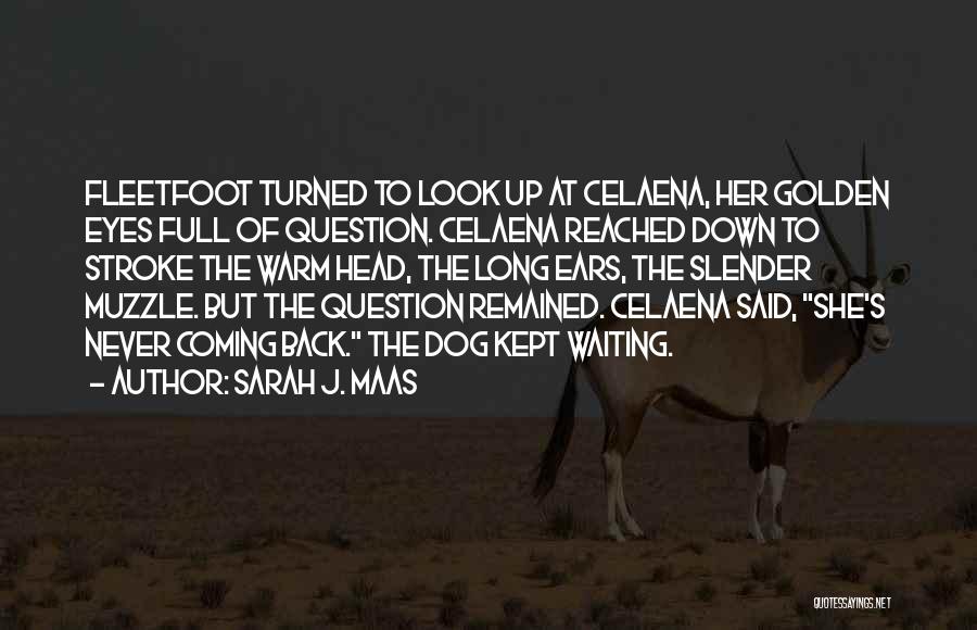 Sarah J. Maas Quotes: Fleetfoot Turned To Look Up At Celaena, Her Golden Eyes Full Of Question. Celaena Reached Down To Stroke The Warm