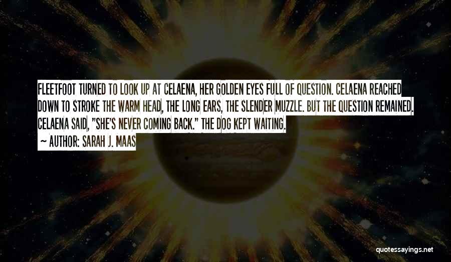 Sarah J. Maas Quotes: Fleetfoot Turned To Look Up At Celaena, Her Golden Eyes Full Of Question. Celaena Reached Down To Stroke The Warm