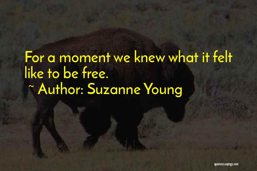 Suzanne Young Quotes: For A Moment We Knew What It Felt Like To Be Free.