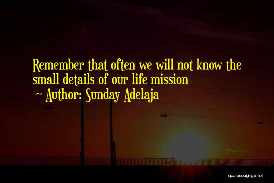 Sunday Adelaja Quotes: Remember That Often We Will Not Know The Small Details Of Our Life Mission