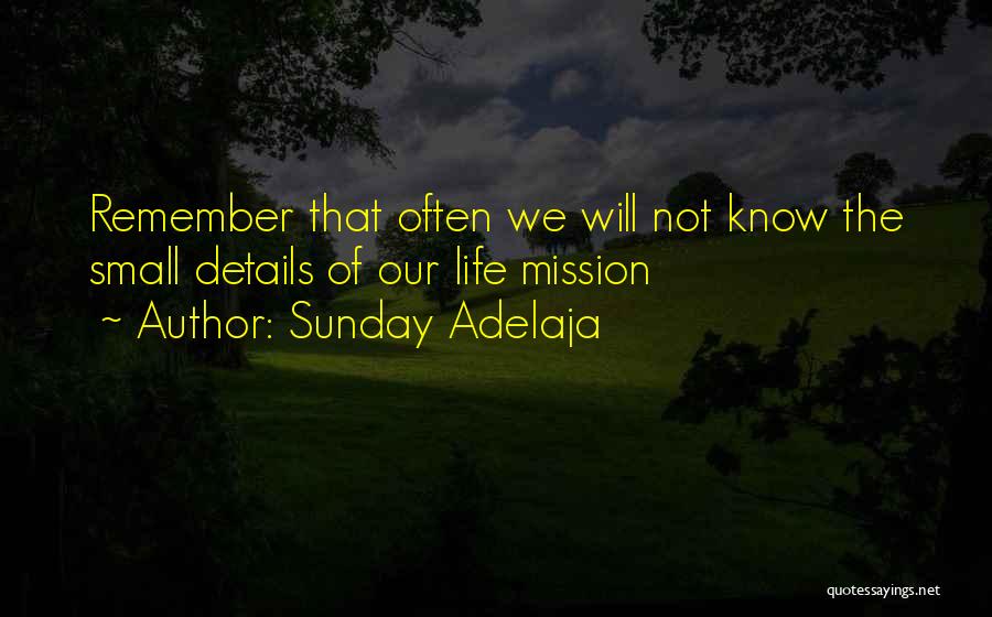 Sunday Adelaja Quotes: Remember That Often We Will Not Know The Small Details Of Our Life Mission