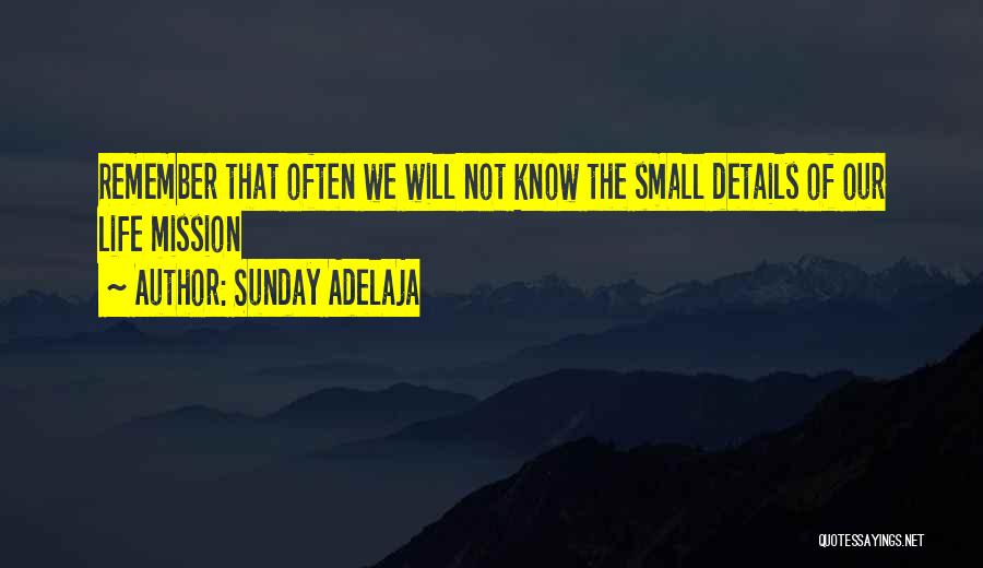 Sunday Adelaja Quotes: Remember That Often We Will Not Know The Small Details Of Our Life Mission