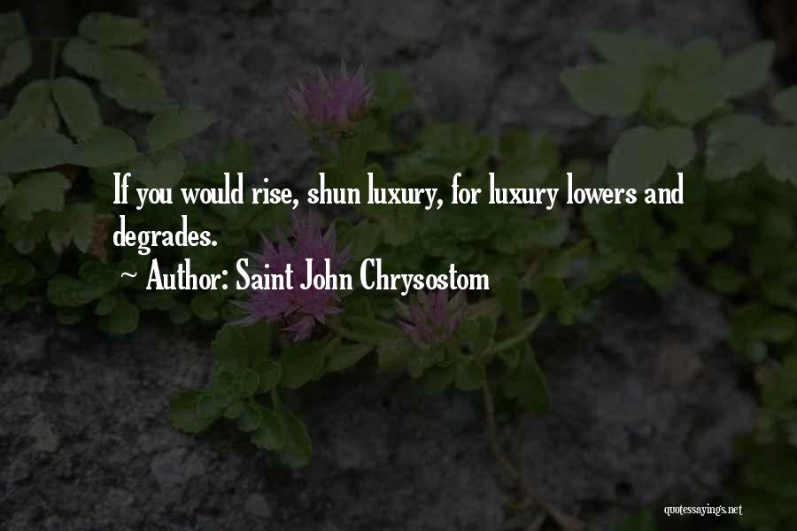 Saint John Chrysostom Quotes: If You Would Rise, Shun Luxury, For Luxury Lowers And Degrades.