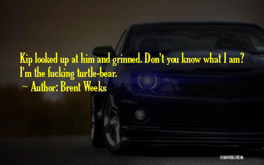 Brent Weeks Quotes: Kip Looked Up At Him And Grinned. Don't You Know What I Am? I'm The Fucking Turtle-bear.