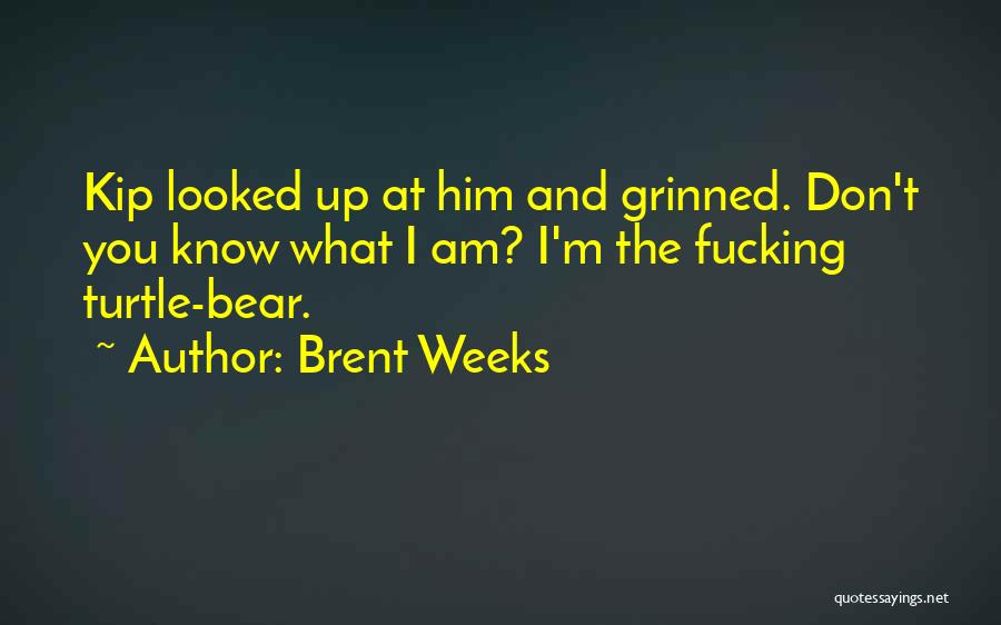 Brent Weeks Quotes: Kip Looked Up At Him And Grinned. Don't You Know What I Am? I'm The Fucking Turtle-bear.