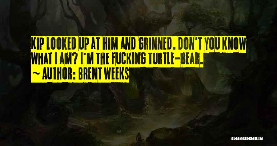 Brent Weeks Quotes: Kip Looked Up At Him And Grinned. Don't You Know What I Am? I'm The Fucking Turtle-bear.
