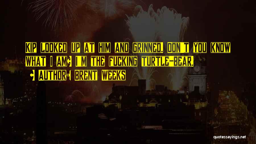 Brent Weeks Quotes: Kip Looked Up At Him And Grinned. Don't You Know What I Am? I'm The Fucking Turtle-bear.