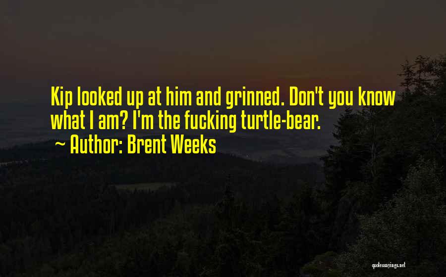 Brent Weeks Quotes: Kip Looked Up At Him And Grinned. Don't You Know What I Am? I'm The Fucking Turtle-bear.