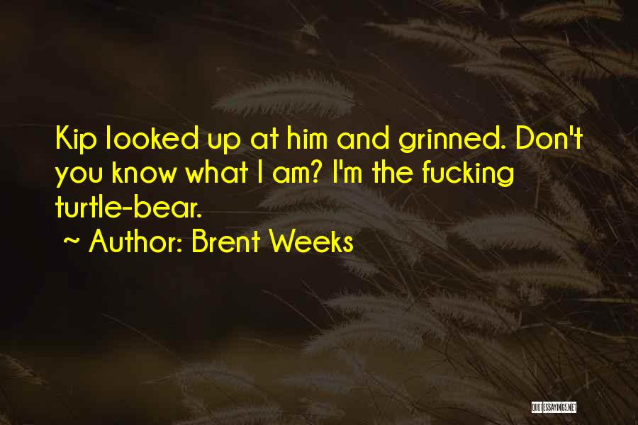 Brent Weeks Quotes: Kip Looked Up At Him And Grinned. Don't You Know What I Am? I'm The Fucking Turtle-bear.