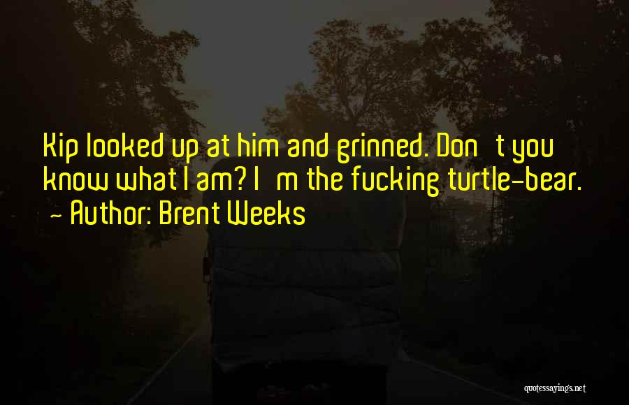 Brent Weeks Quotes: Kip Looked Up At Him And Grinned. Don't You Know What I Am? I'm The Fucking Turtle-bear.