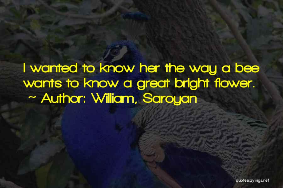 William, Saroyan Quotes: I Wanted To Know Her The Way A Bee Wants To Know A Great Bright Flower.