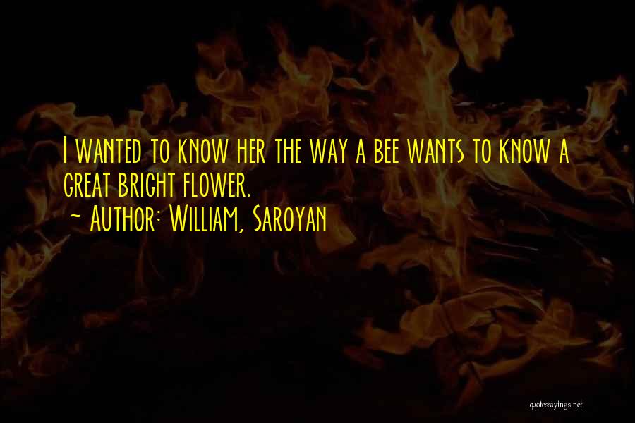 William, Saroyan Quotes: I Wanted To Know Her The Way A Bee Wants To Know A Great Bright Flower.