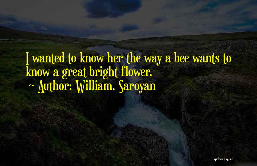 William, Saroyan Quotes: I Wanted To Know Her The Way A Bee Wants To Know A Great Bright Flower.