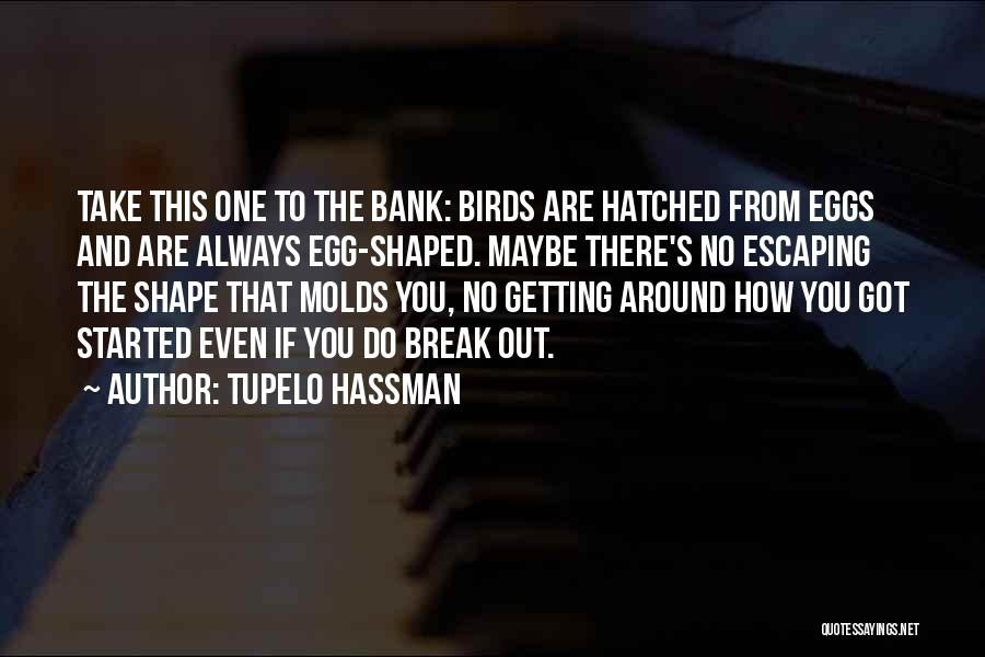 Tupelo Hassman Quotes: Take This One To The Bank: Birds Are Hatched From Eggs And Are Always Egg-shaped. Maybe There's No Escaping The