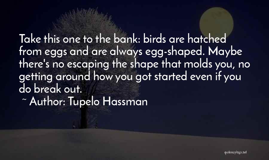 Tupelo Hassman Quotes: Take This One To The Bank: Birds Are Hatched From Eggs And Are Always Egg-shaped. Maybe There's No Escaping The