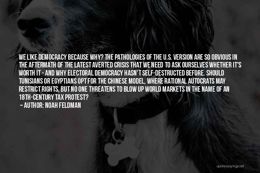 Noah Feldman Quotes: We Like Democracy Because Why? The Pathologies Of The U.s. Version Are So Obvious In The Aftermath Of The Latest