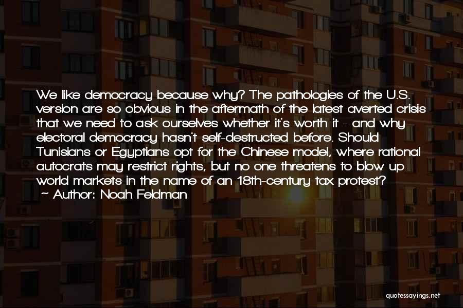 Noah Feldman Quotes: We Like Democracy Because Why? The Pathologies Of The U.s. Version Are So Obvious In The Aftermath Of The Latest