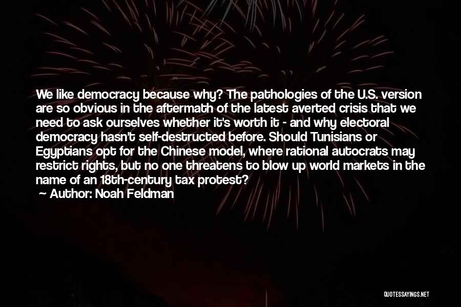 Noah Feldman Quotes: We Like Democracy Because Why? The Pathologies Of The U.s. Version Are So Obvious In The Aftermath Of The Latest