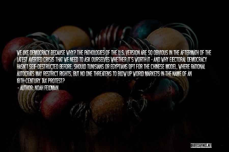 Noah Feldman Quotes: We Like Democracy Because Why? The Pathologies Of The U.s. Version Are So Obvious In The Aftermath Of The Latest