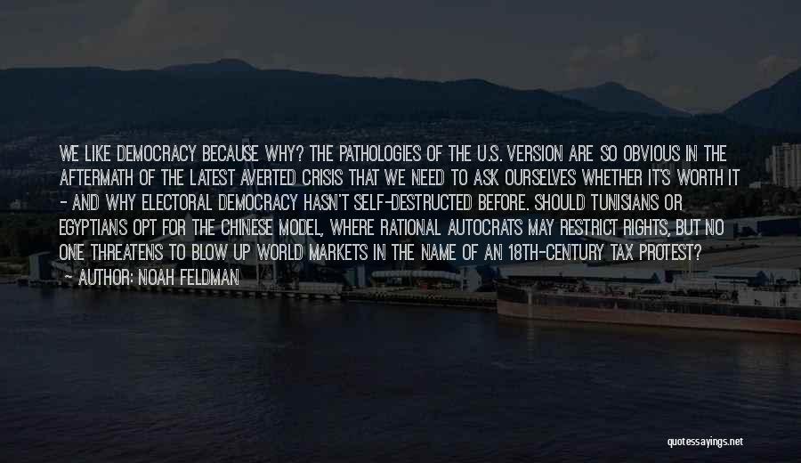 Noah Feldman Quotes: We Like Democracy Because Why? The Pathologies Of The U.s. Version Are So Obvious In The Aftermath Of The Latest