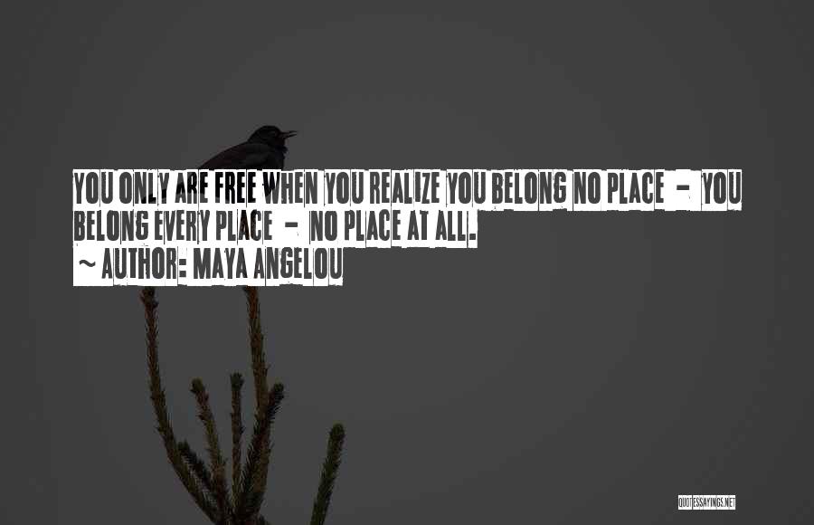 Maya Angelou Quotes: You Only Are Free When You Realize You Belong No Place - You Belong Every Place - No Place At