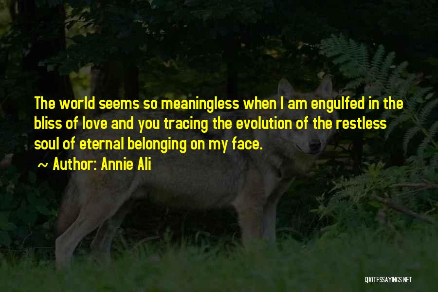 Annie Ali Quotes: The World Seems So Meaningless When I Am Engulfed In The Bliss Of Love And You Tracing The Evolution Of