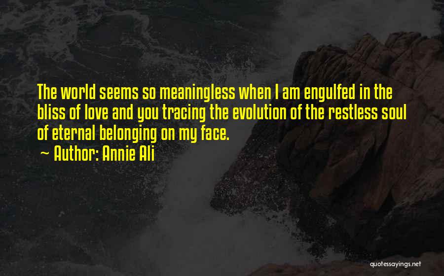 Annie Ali Quotes: The World Seems So Meaningless When I Am Engulfed In The Bliss Of Love And You Tracing The Evolution Of