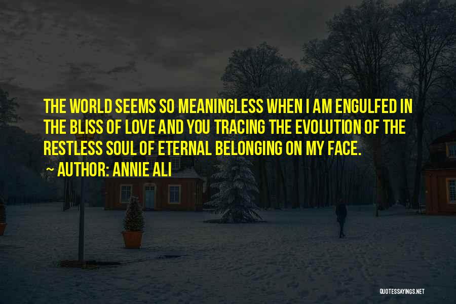 Annie Ali Quotes: The World Seems So Meaningless When I Am Engulfed In The Bliss Of Love And You Tracing The Evolution Of